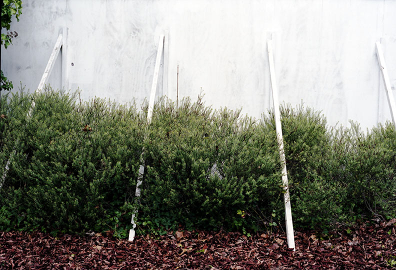 JC image 1